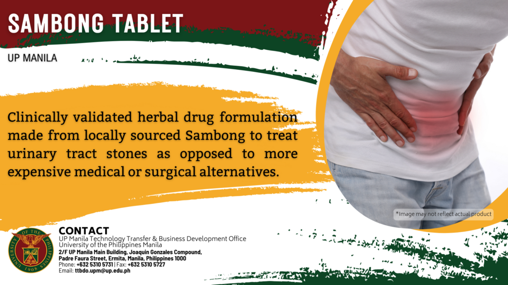 Sambong tablet for kidney stones
